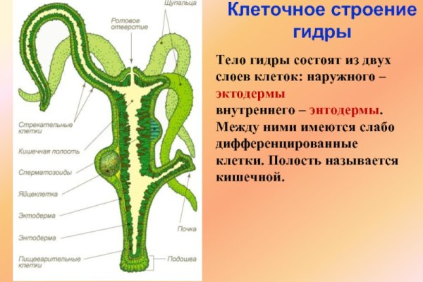 Кракен официальный сайт 2krnk cc