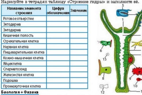 Кракен зон